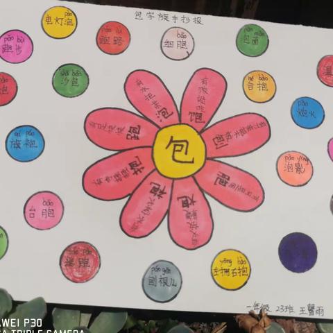 “包”字家族来相会