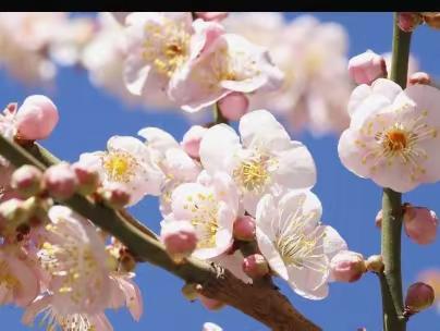 同心同行同学习        且思且悟且提升