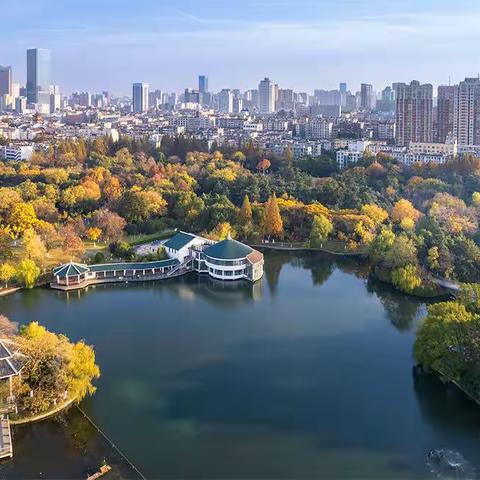 初冬杏花公园秋正浓