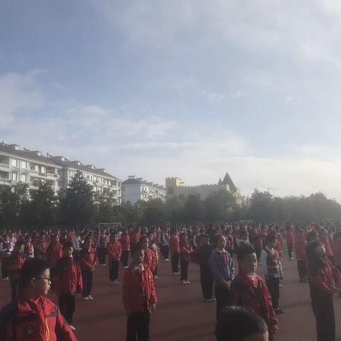 雨润梅花 勤耕不辍———松阳县实验小学集团学校第八周实习周报