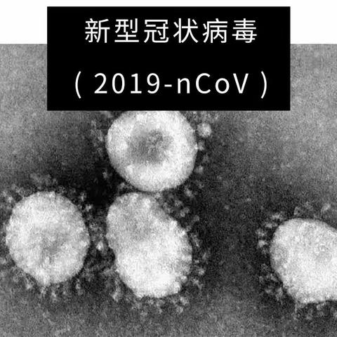 遂川县教体局转发省厅关于新型冠状病毒肺炎防护指南。认真学习宣传，重点在防！！