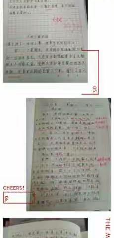 显学科特色 展教学硕果——城小常规作业检查篇