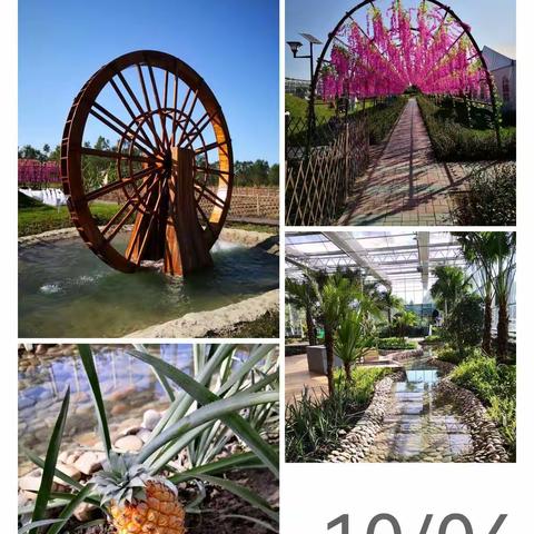 田园欢乐行—开滦十中九三班社会实践活动