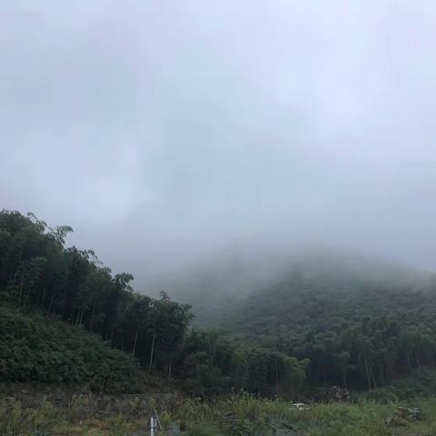 9月走园 莫干山风景区