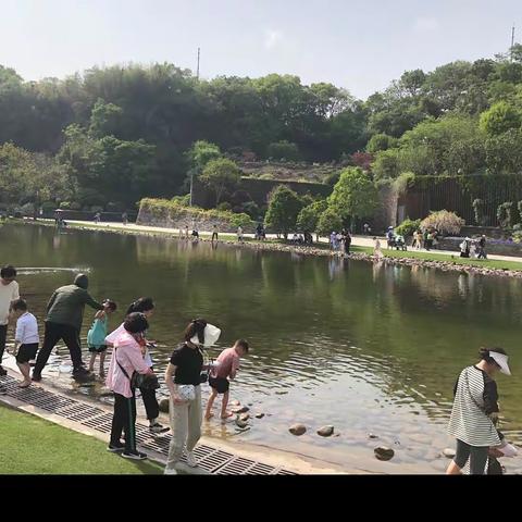 3月走园 辰山植物园