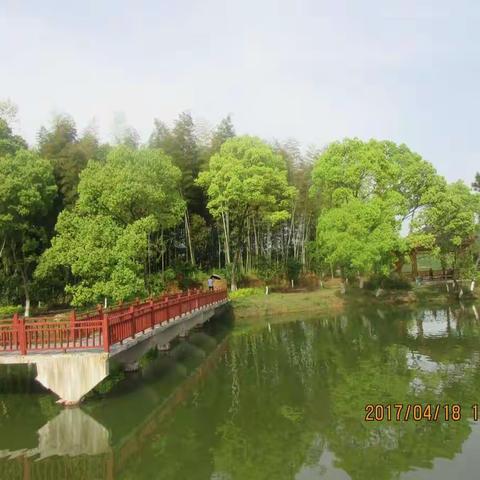 希望爷爷奶奶永远健康长寿