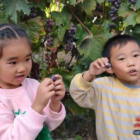 【金秋里的快乐小宝贝】