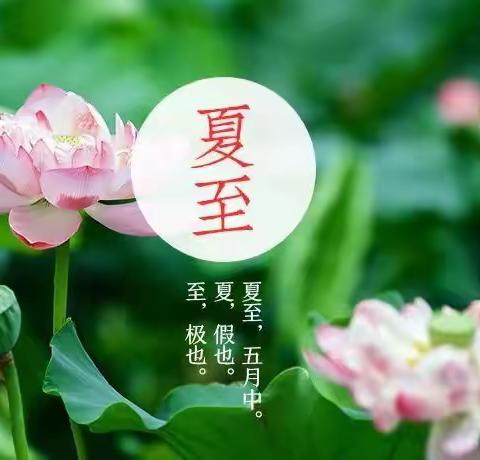 西关回民小学“自然童年，趣味节气”之夏至二十四节气综合实践活动