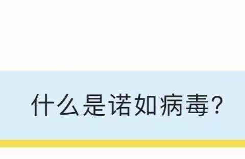 【飞翔幼教】预防诺如病毒      呵护健康成长——景村镇飞翔幼儿园预防诺如病毒小知识