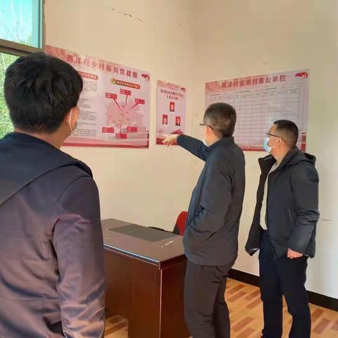 县领导到稼轩乡西洋村宣讲党的十九届六中全会精神