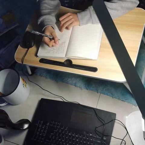 我和我的009，网课第三天，奥利给