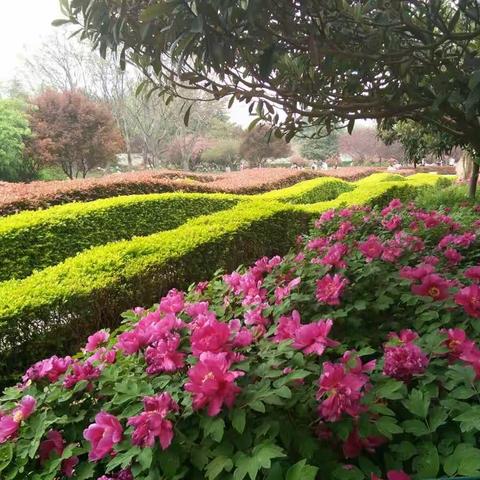 卫辉市第四完全小学对三一班傅炎彬家访纪实（副本）