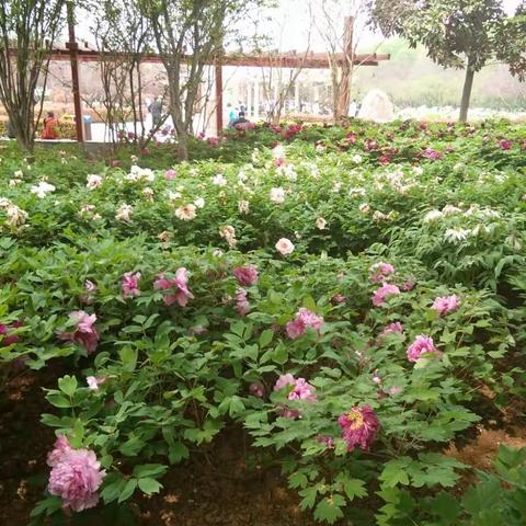 卫辉市第四完全小学四一班家访纪实（一百六十）――悠悠家访路 浓浓师生情