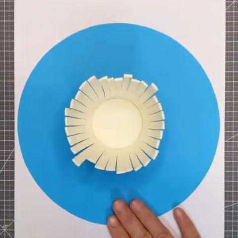 小狮子（一年级）