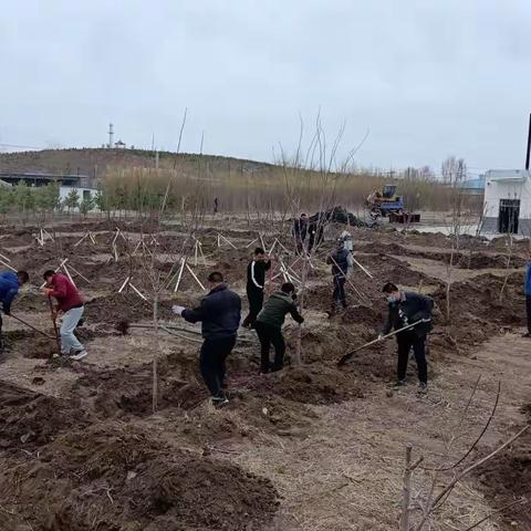 “你我来参与 共同谋发展”——乌额格其学校全体男教师参加幼儿园建设第四次集体劳动