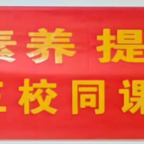 “聚焦核心素养，提高教学质量”——美九嘉三校联合开展政治组同课异构活动