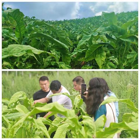 抓实靠前意识 落实规范提升