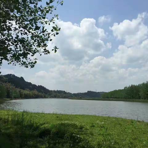 徒步亲水嘉陵江，野餐徜徉意杨间！