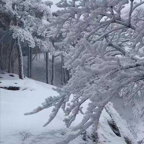 冰雪世界