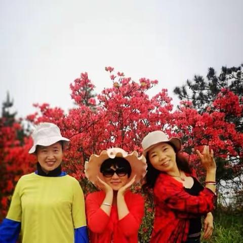 白鹤尖的杜鹃花