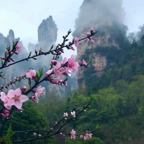 美景令人心旷神怡