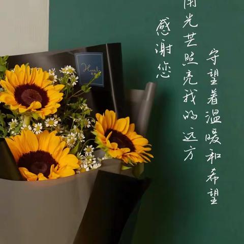 新湾镇中心校庆祝38个教师节暨表彰大会