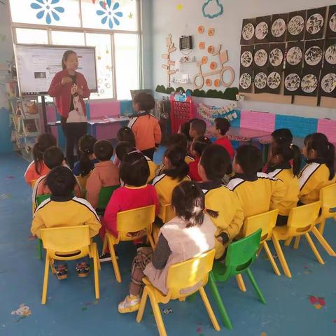 童之梦幼儿园大班科学活动课——种植大蒜