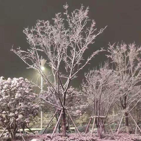 回首2023我来总结（五年学前2102吕圆媛）