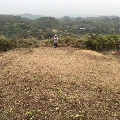 观先祖墓地，寄语后辈