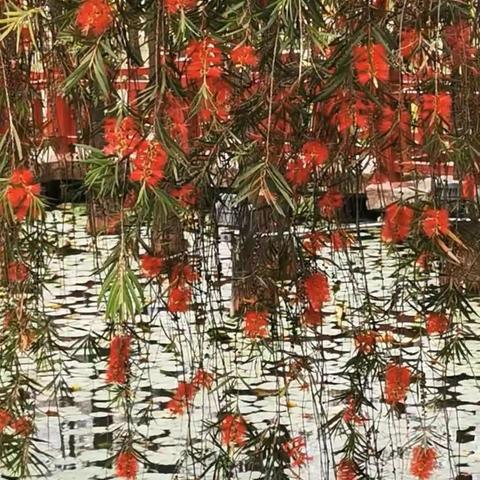 春心