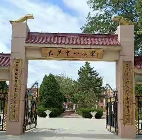 “疫”路坚守聚云端共研共学共成长，——记大芦中心小学线上教学教研