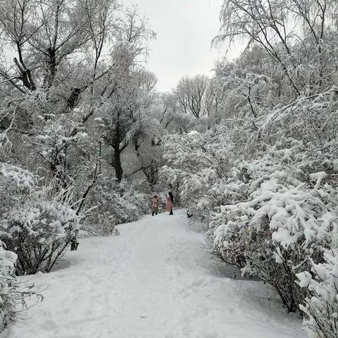 飘雪