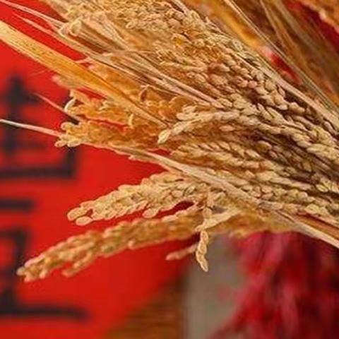 感丰收喜悦，品秦余风味——“宣平小吃”柳城加盟店开业