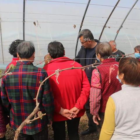 临潼区农业农村局农技中心持续开展科技示范基地春季管理技术培训