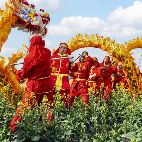 春日风光无限好