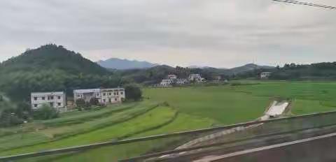 沂蒙山