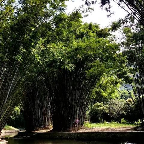 秋风徐来，阳光正好！清茶一壶，三两好友，闲度半日。