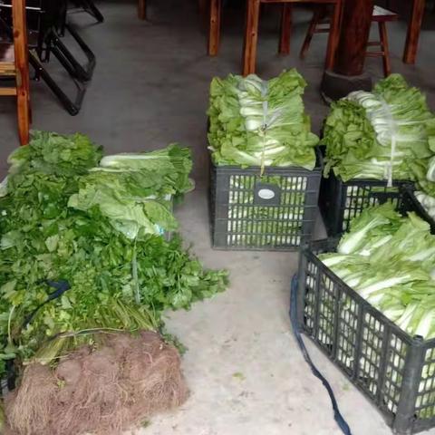 【柏社战“疫”】菜农义举，暖人心