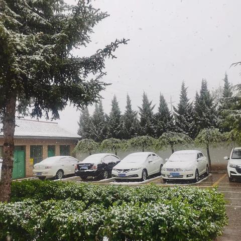 【“三抓三促我们在行动】赛技能·夯内功·展风采·促成长·—平泉镇中心小学教学技能大赛（数学教研组）