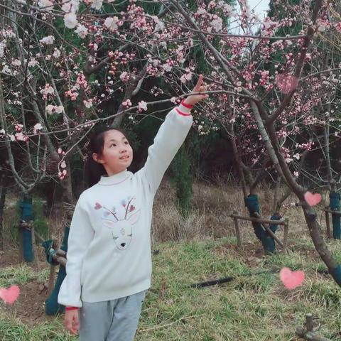 【班级之星  第三期】智周万物，德艺双馨 一一汇泉小学4.1中队  周馨艺