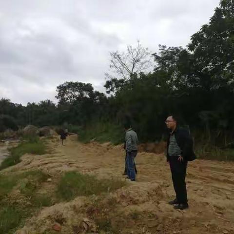 市政府副市长、龙尾河市级河长王立副市长到大茂镇巡视龙尾河非法采砂情况并作工作部署