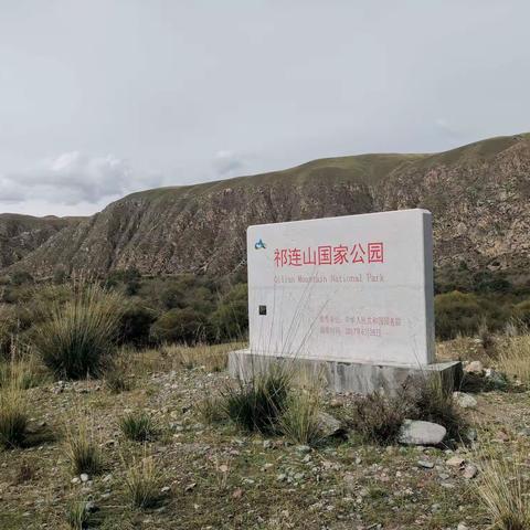 祁连山大草原