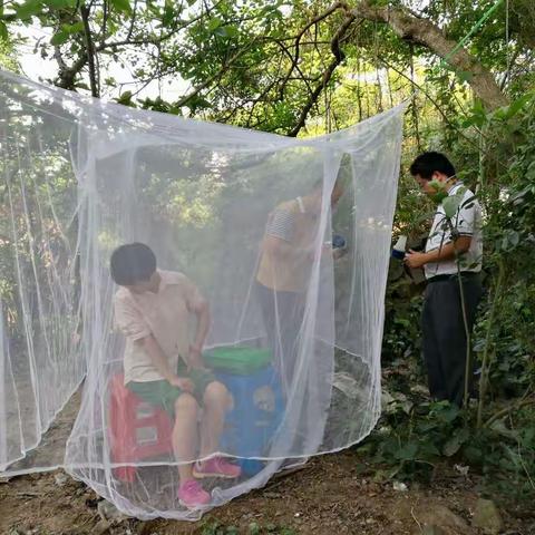 监测成蚊密度 工作人员当“活靶”引诱蚊子