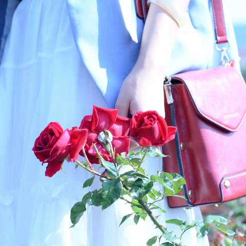 【春之玫瑰庄园】