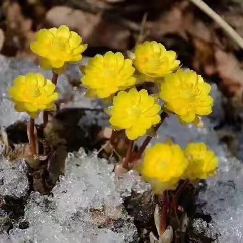 致青春！忙碌的生活给我们带来了压力！ 但我们依然不忘青葱岁月！