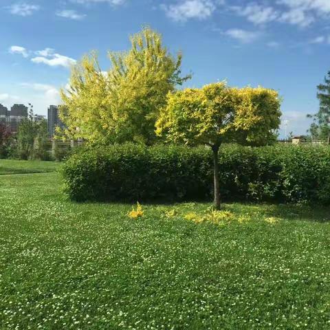 这是一个积极向上的团队，有时候很淘气，但是很善良，我们心态乐观，不拘小节，希望我们这个大家庭越来越好!