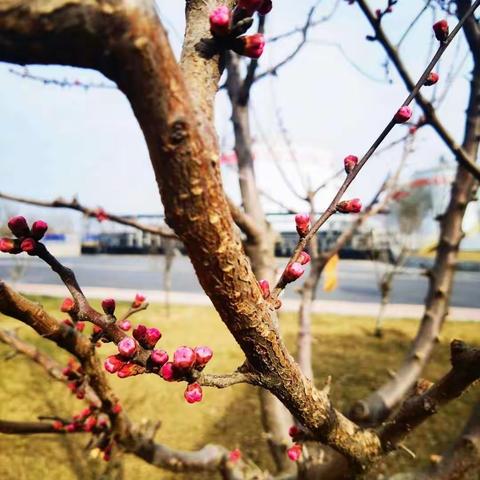 居家学习，让成语鲜活起来——连山世纪二年四班居家学习特色