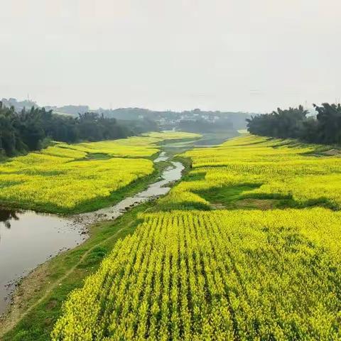 一路繁花，与“她”相遇