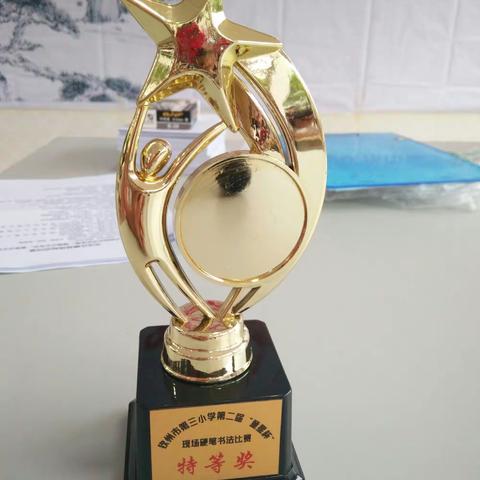 钦州市第三小学第二届“童星杯”硬笔书法比赛