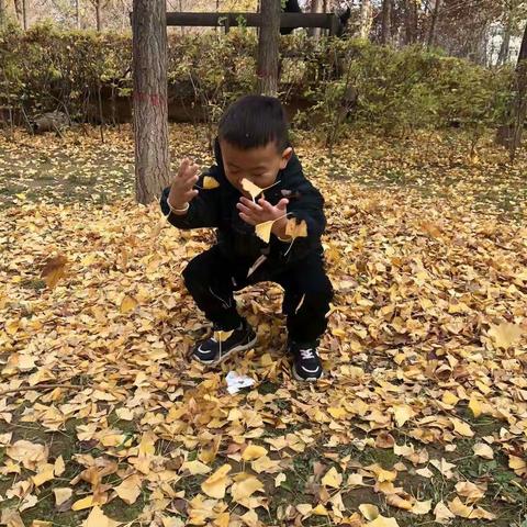 中四班丨十一月丨拜访大树